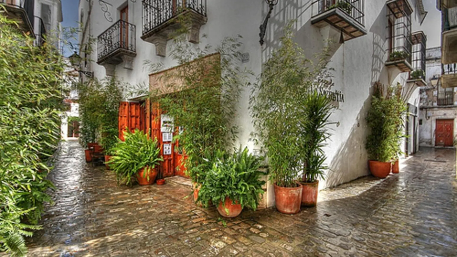 Livingtarifa Paloma Apartment Spain